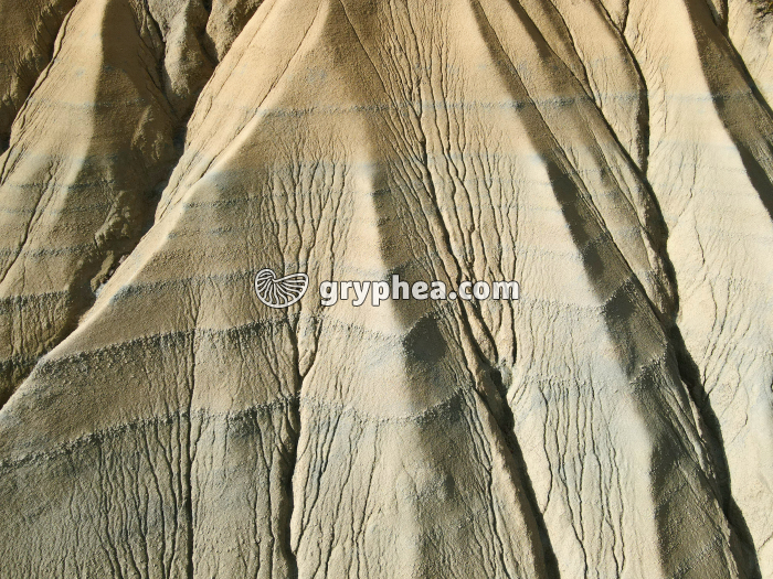 Erosion de terrains argileux - vue aérienne - gryphea.org